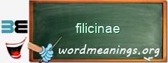 WordMeaning blackboard for filicinae